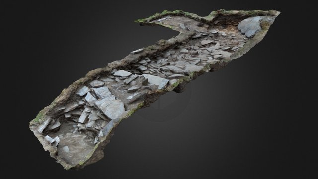 Tintagel Castle – Archaeological Dig – Trench D 3D Model