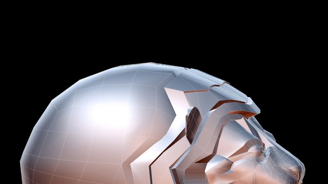 LION 3D Model