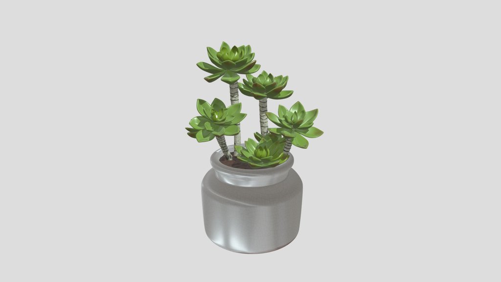 Succulent In Crackled Ceramic Pot