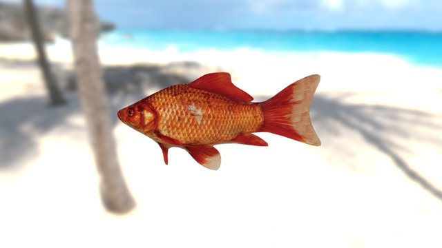 UV Textured Fish 3D Model
