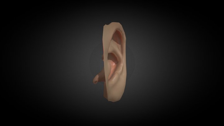 Ear_Test 3D Model