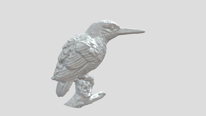 Kingfisher by Seal lite