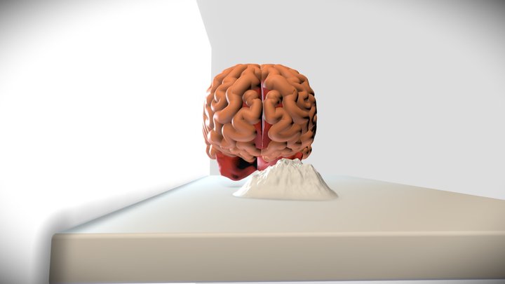 Brain Portrait Photography 3D Model