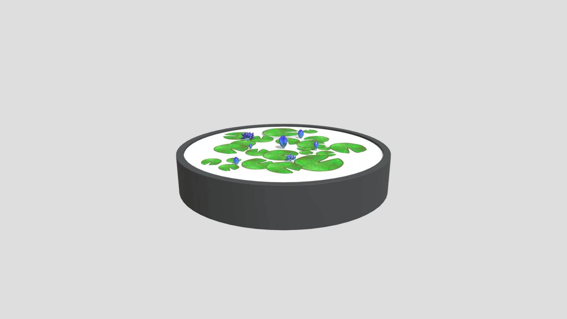 Lotus_pool - Download Free 3D model by yaniu03 [b67adb5] - Sketchfab
