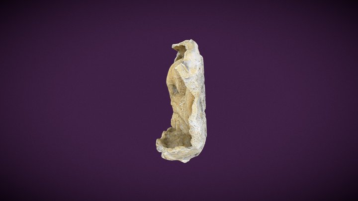Boca Yeso 3D Model