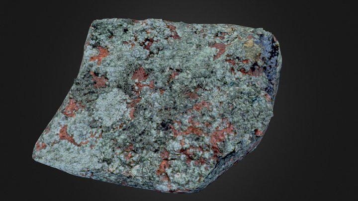 Lichen Rock Photogrammetry - Med Res 8k 3D Model