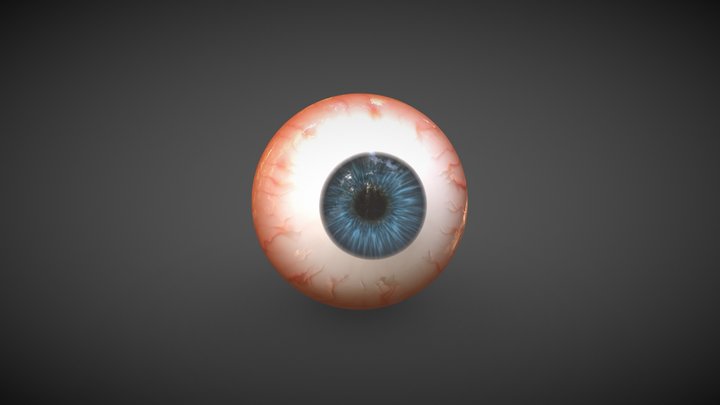 Human Eye 3D Model