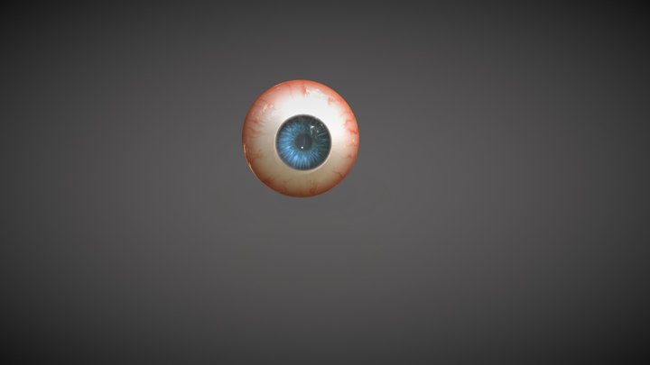 Human Eye 3D Model
