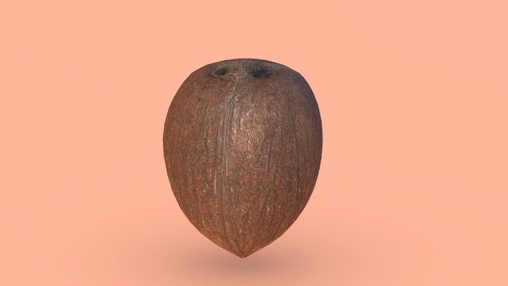 coconut 3D Model