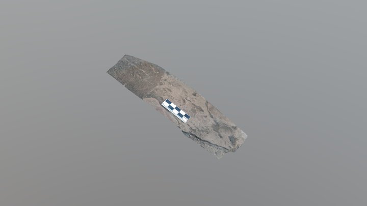 Taenidium serpentinum trace fossil 3D Model