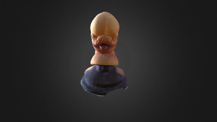 Sviluppo della faccia nell’Uomo 3D Model