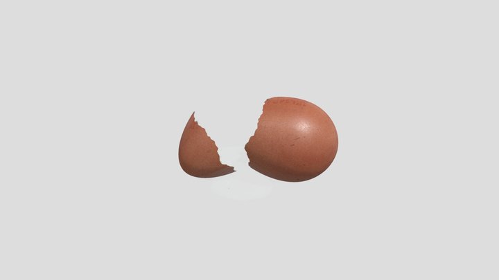 broken egg 2 3D Model