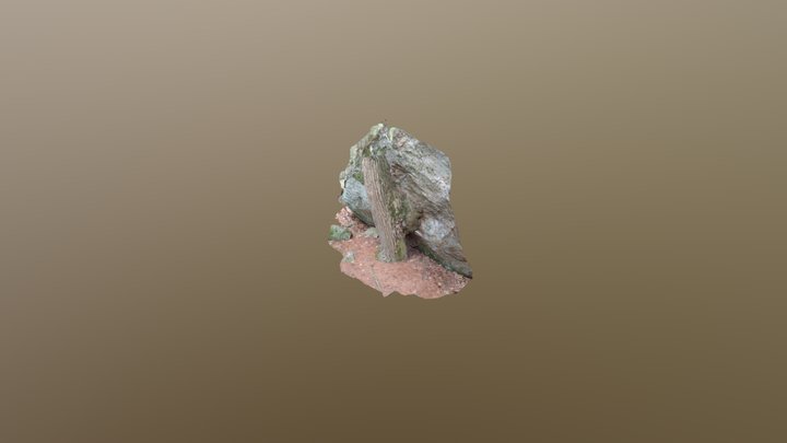 Tree meets immovable object 3D Model