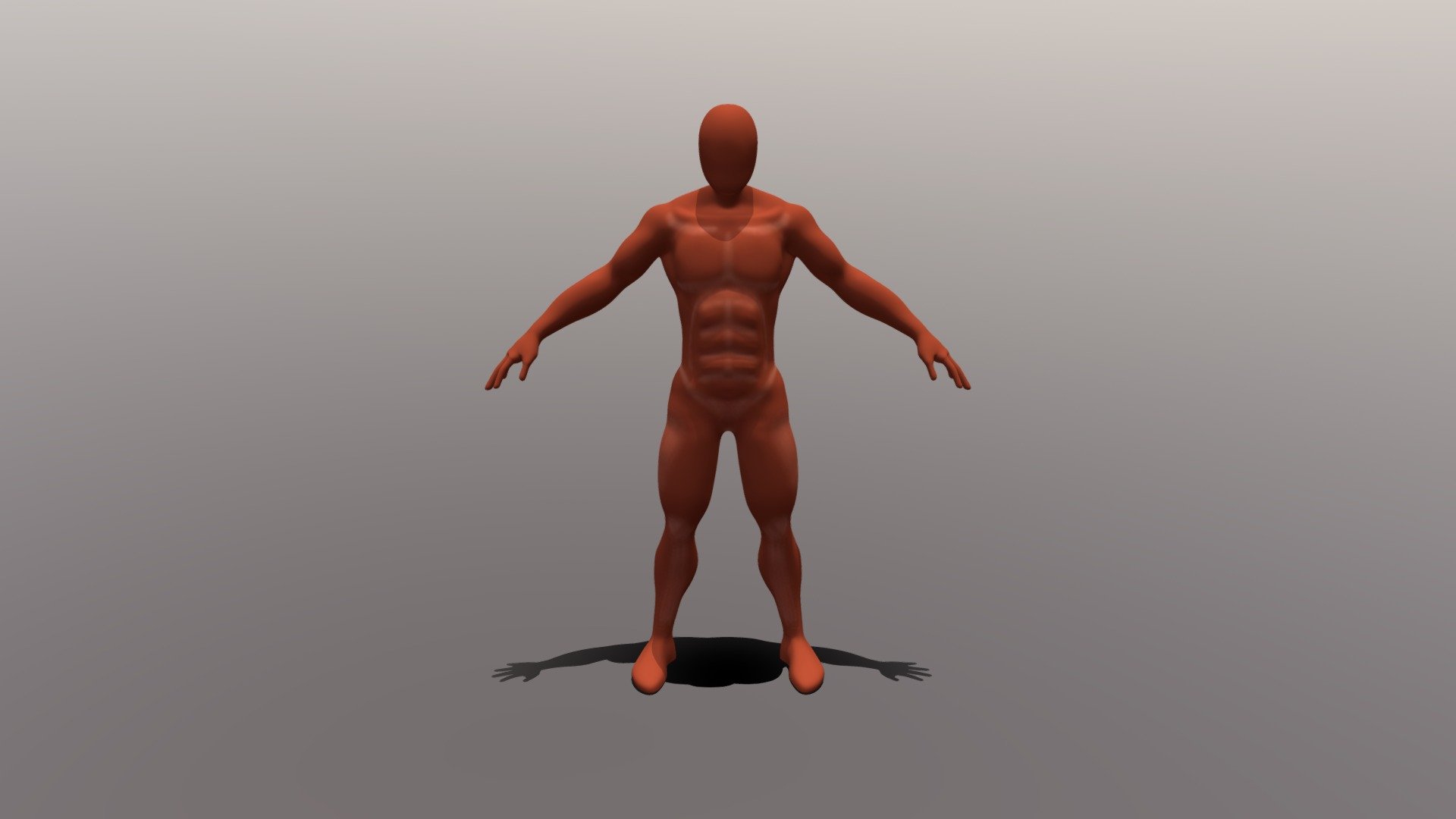 2283_DeGroote_Paul_Anatomie