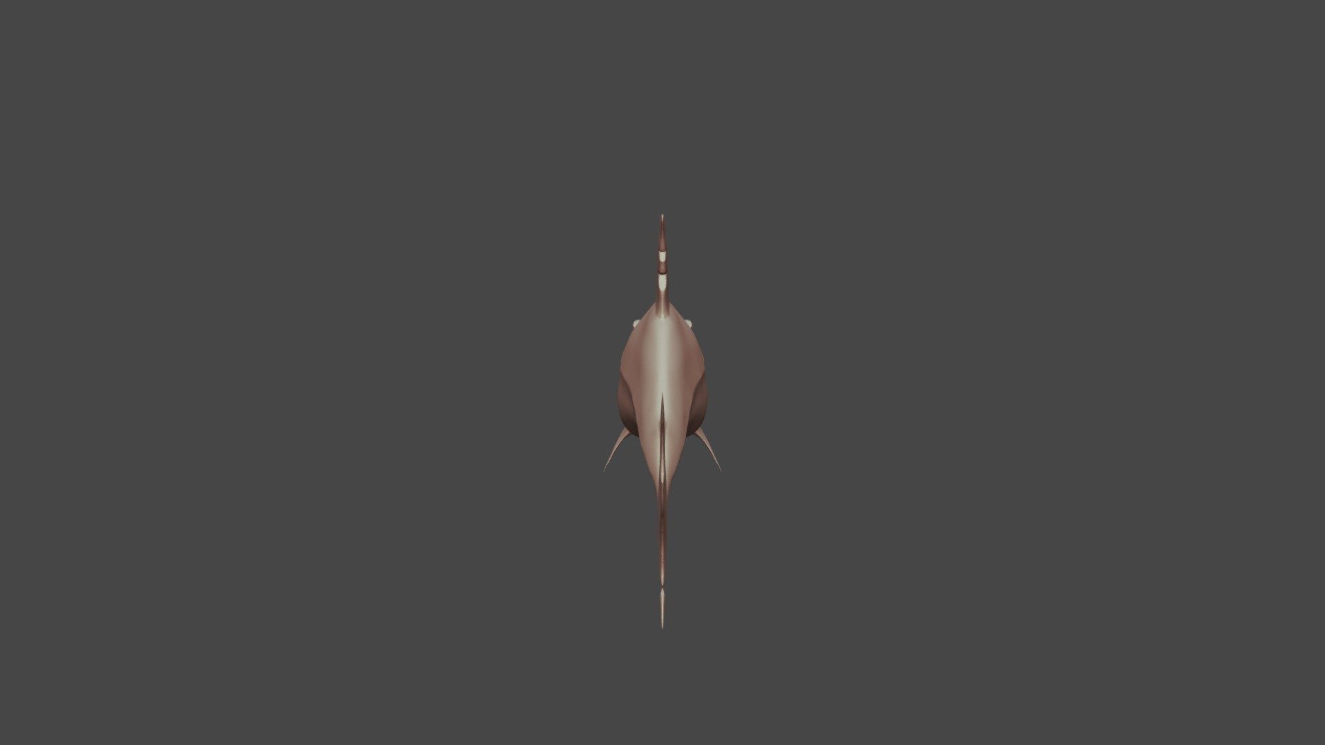 Tiburon-exercise