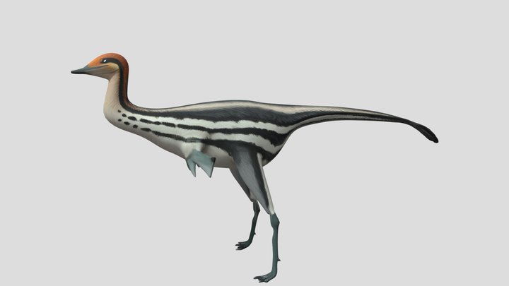 Patagonykus Retopo 3D Model