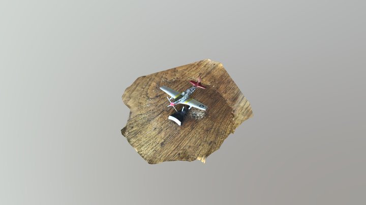 Plane Model 3D Model