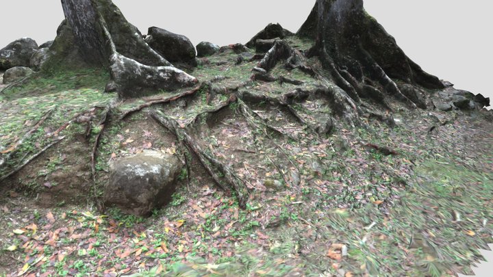 Bouliki Trees 3D Model