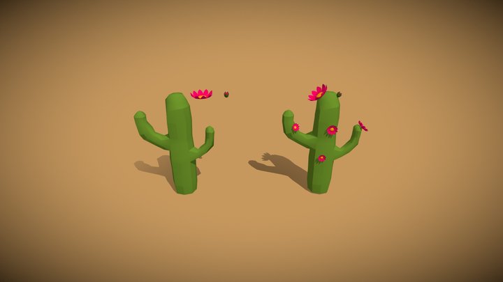 Cactus Lowpoly Model 3D Model