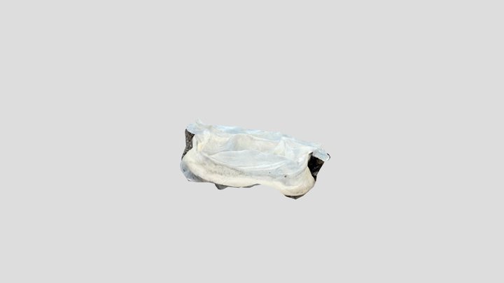 Condom 3D Model