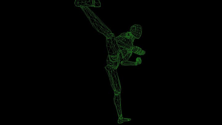 Side Kick 3D Model