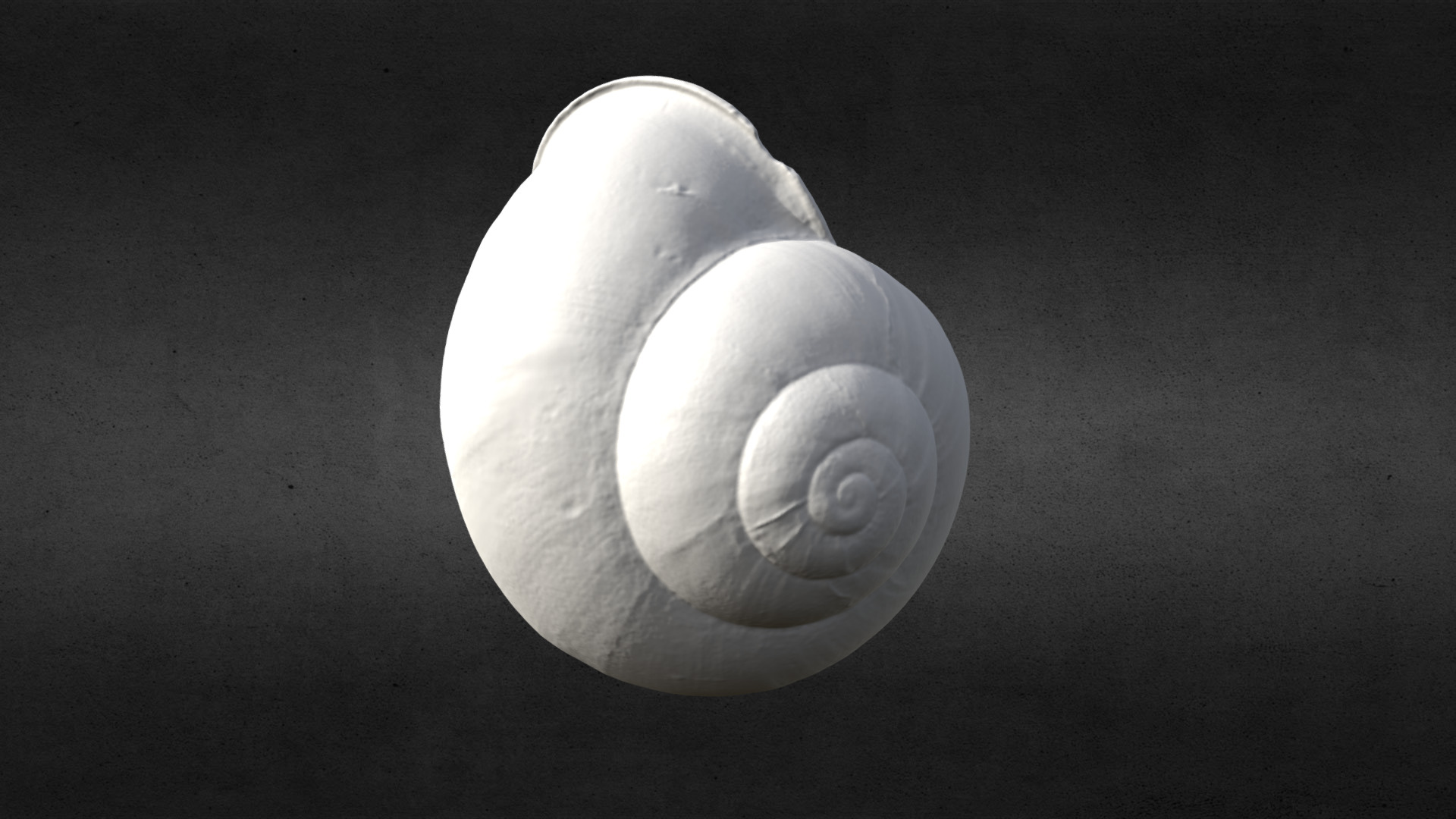 3D model 3D Scanned Mini Spiral Seashell (3D Printable) - This is a 3D model of the 3D Scanned Mini Spiral Seashell (3D Printable). The 3D model is about a white light bulb.
