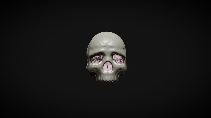 Skull Practice with emissive channel 3D Model