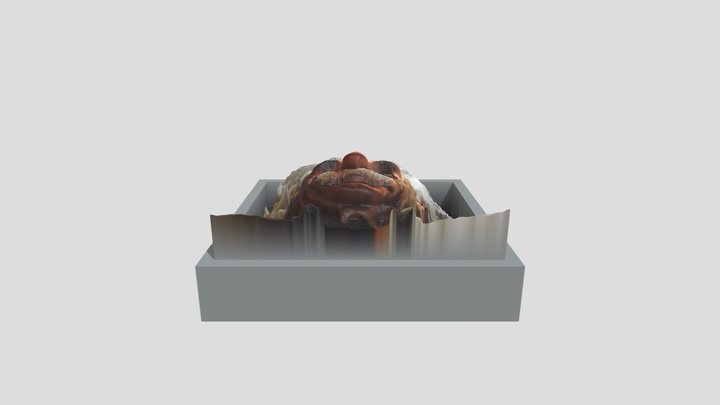 Einstein Colored 3D Model
