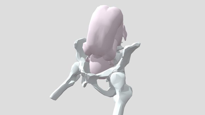 Normal delivery 3D Model