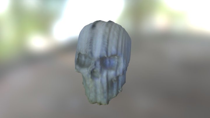 Skull - 3D Scanned 3D Model
