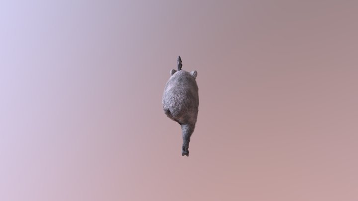 motion 3D Model