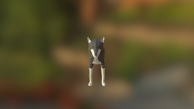 Wolf2 3D Model