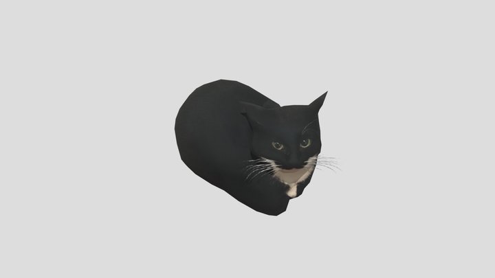 maxwell 3D Model