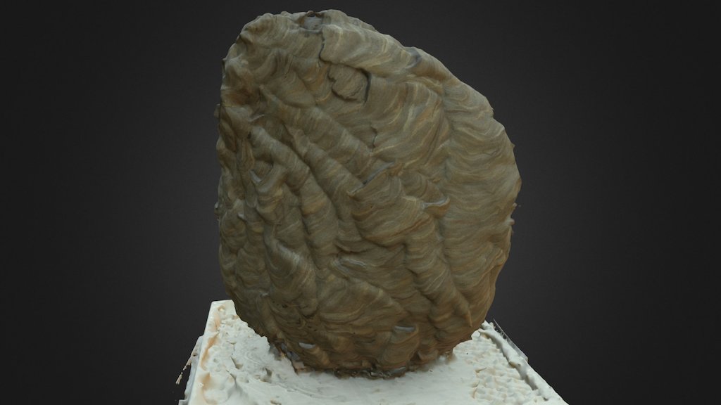 Hornet Nest, Inverted