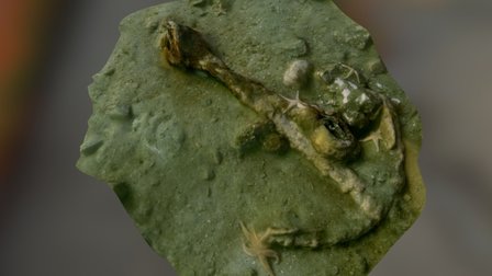 Anchor2-B 3D Model
