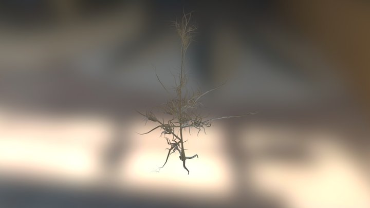 tree#2 3D Model