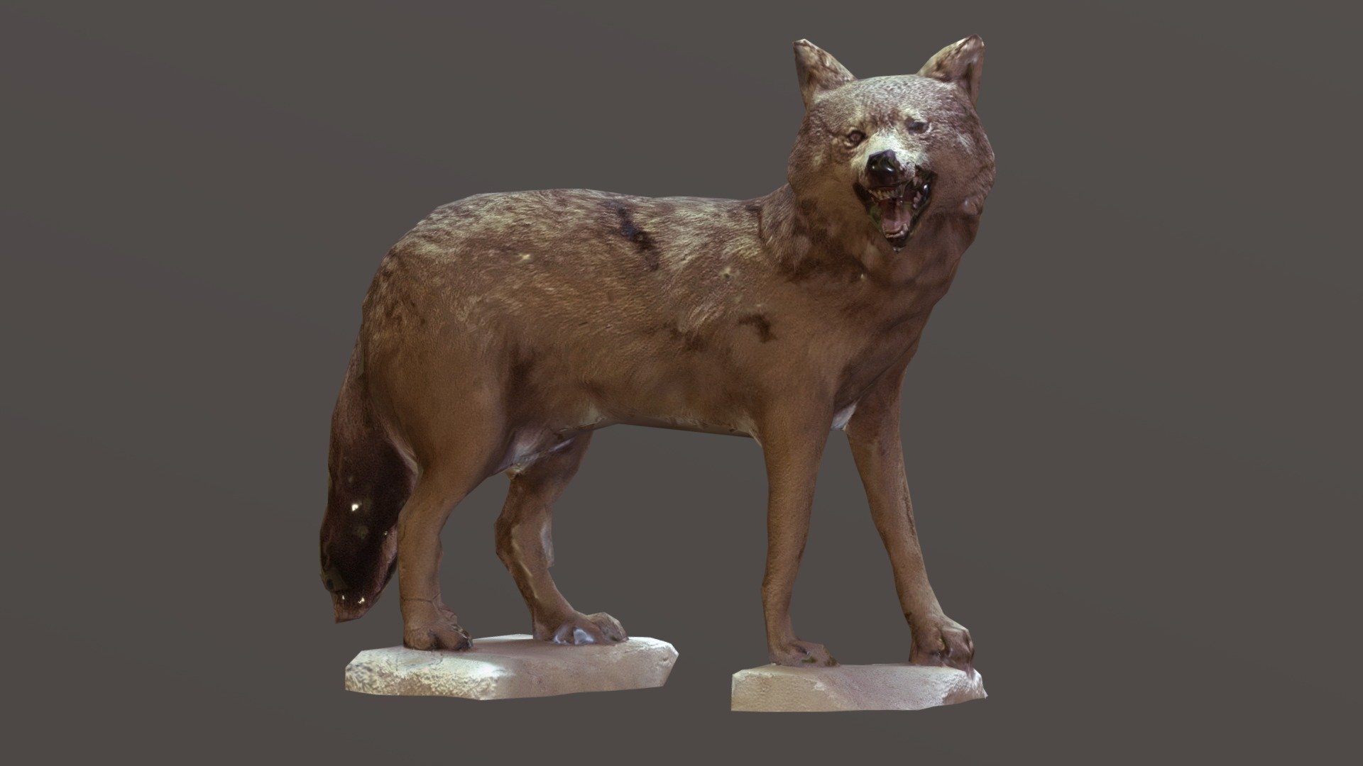 Wolf scarecrow