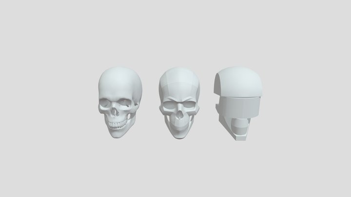 头骨 3D Model