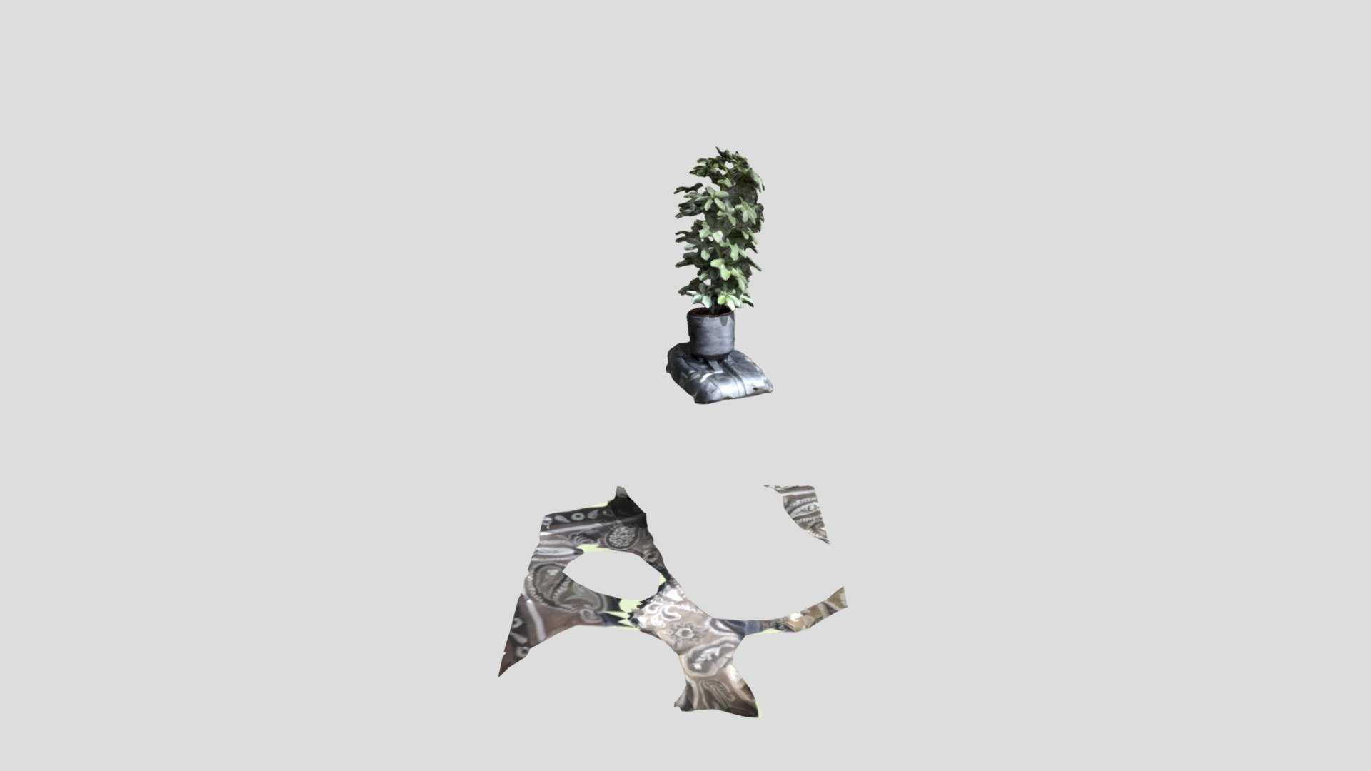 Plant Video Test2