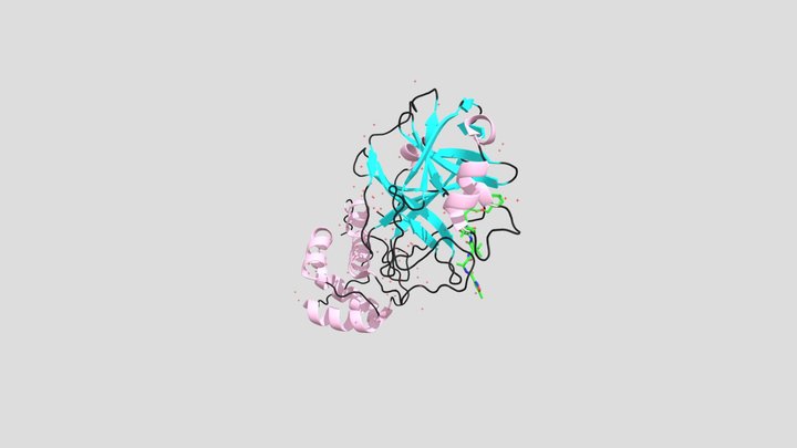 Covid-19 Protease Interaction with N3 Inhibitor 3D Model