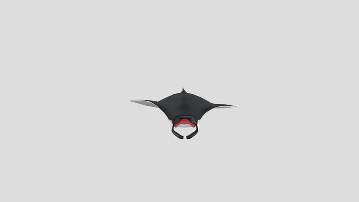 Manta ray 3D Model