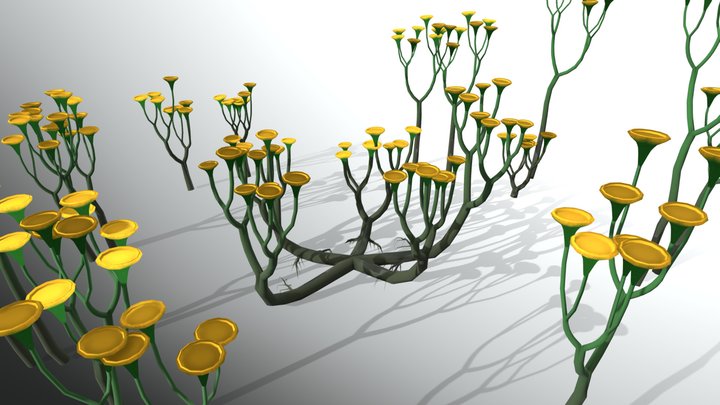 Cooksonia 3D Model
