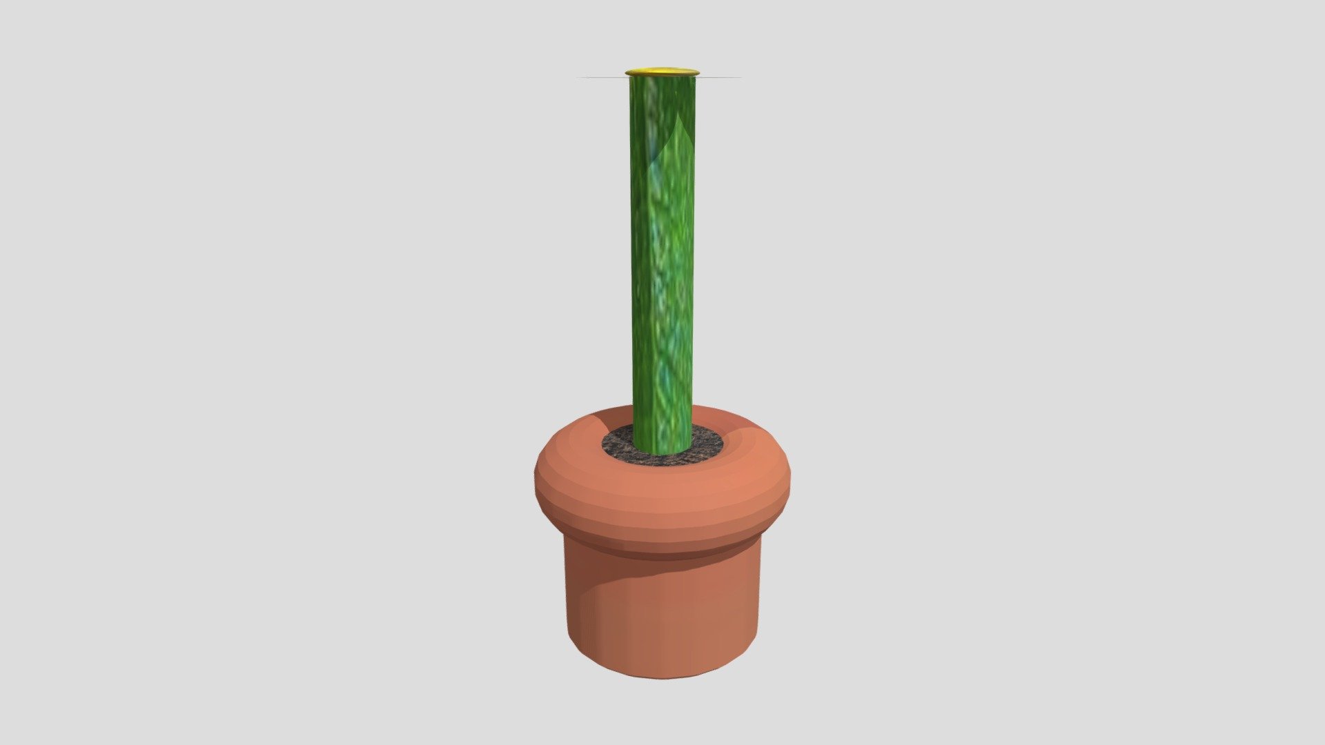 plant