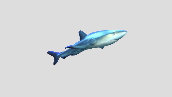 503-35-戴妤庭(鯊魚) 3D Model