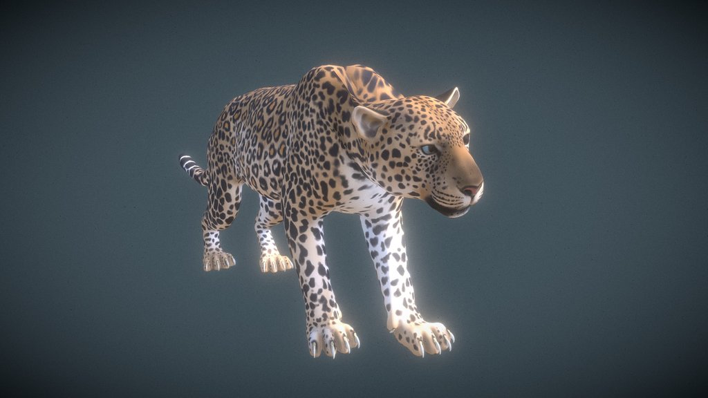 Quadruped Idle 2026 S1