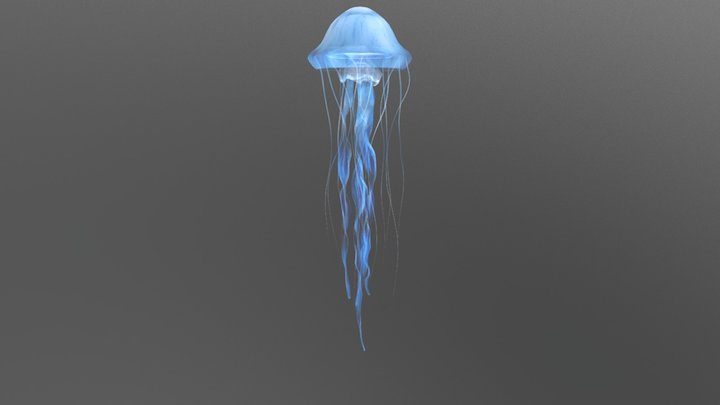 Jellyfish Chrysaora Blue (ver 1.0) 3D Model