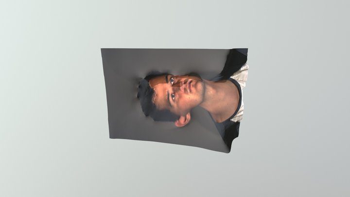 Test renamed model 3D Model