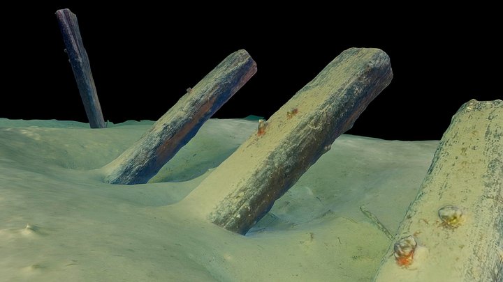 Horgen Sust site 38m west (Old railway tracks) 3D Model