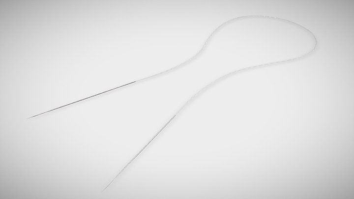 Dual needle 3D Model