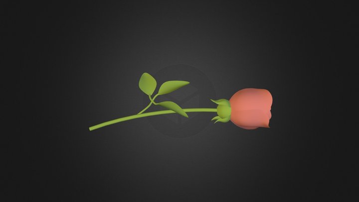 Roses  3D Model